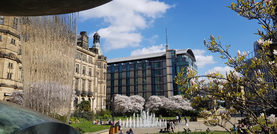 Sheffield Peace Gardens with a blue sky, the Town Hall in the background with fountains in front and the waterfall and a magnolia tree foreground