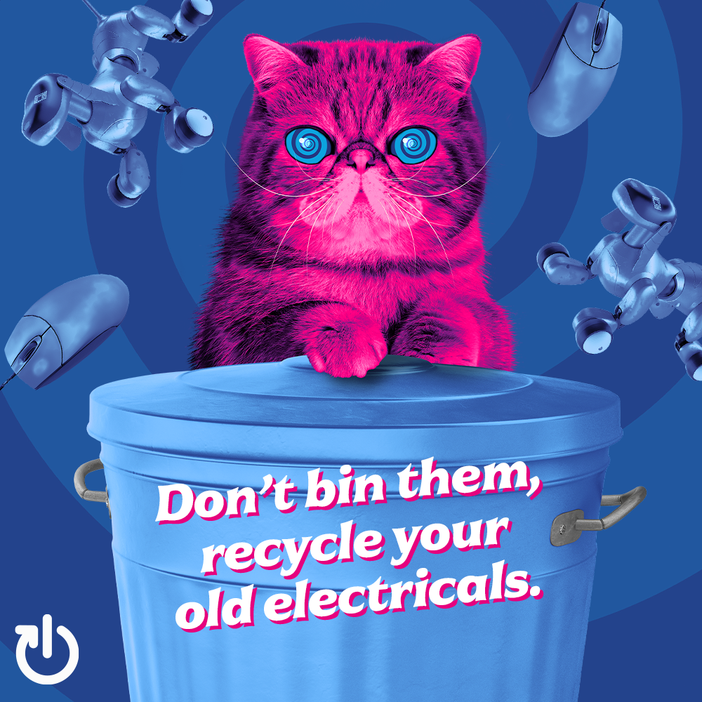 Picture of Hypnocat encouraging recycling of electricals