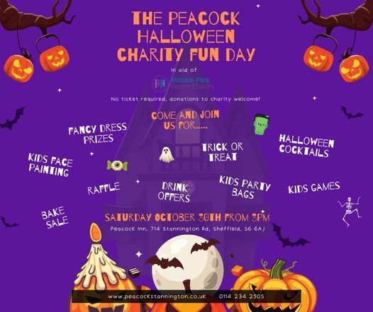 Poster for the charity fun day showing events