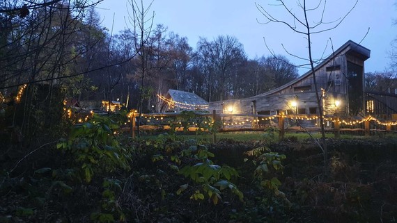 ecclesall woods lights