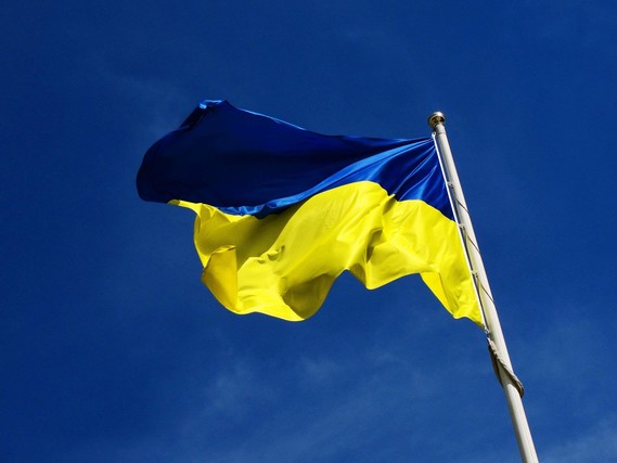 Ukraine Flag