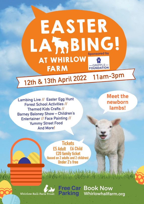 Whirlow Hall Farm lambing poster