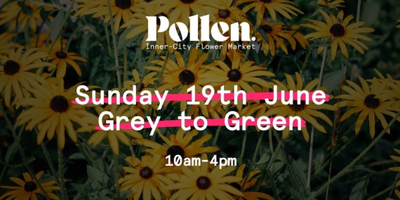 pollen market jun