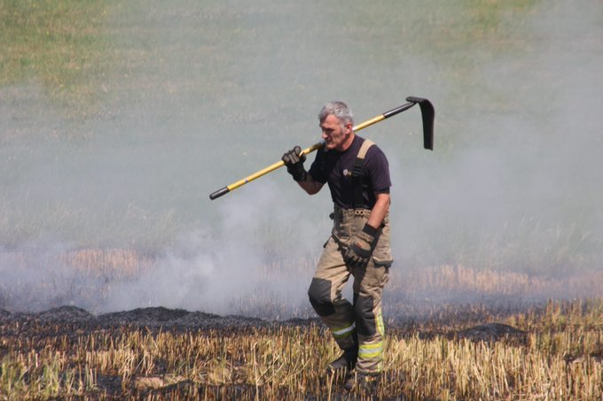 A firefighter walking through a field that’s on fire. He is holding a long pole known as a beater.