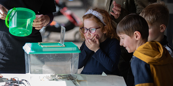 Copyright Andy Brown children watching bugs in a clear tank