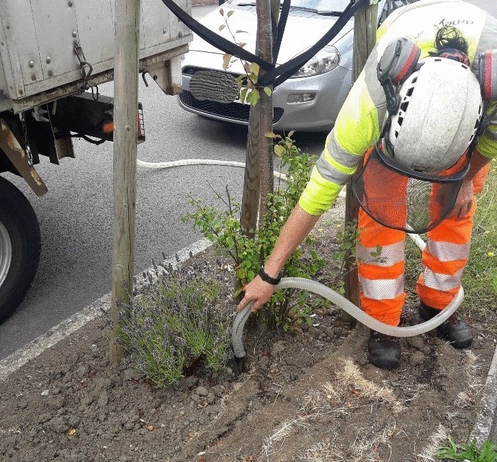 tree watering