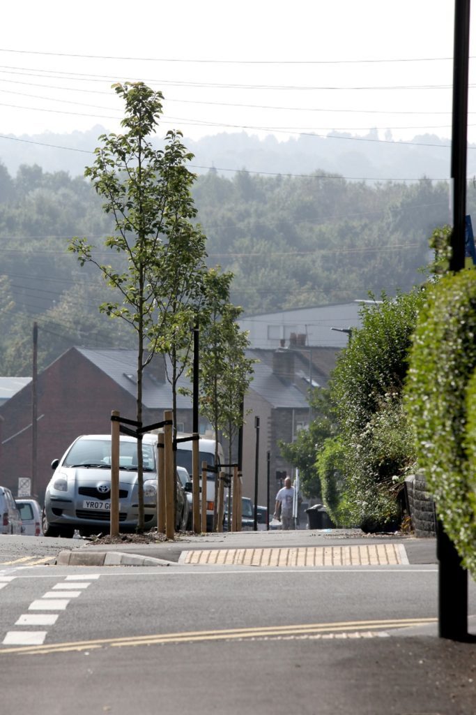 Trees planted on Edmund Road