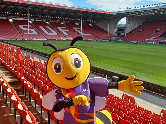 Rugbee RLWC mascot