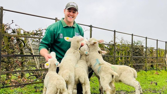 Worker at the Graves Park Animal Farm bottle feeding a group of lambs