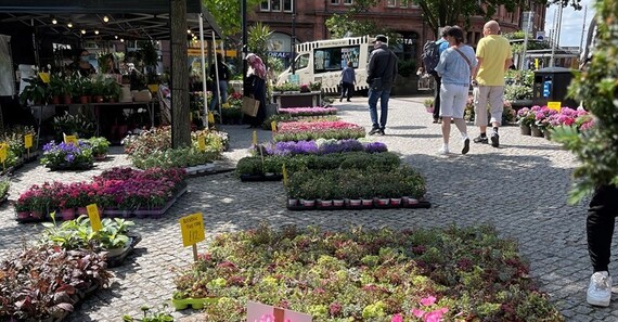 Sheffield International Market
