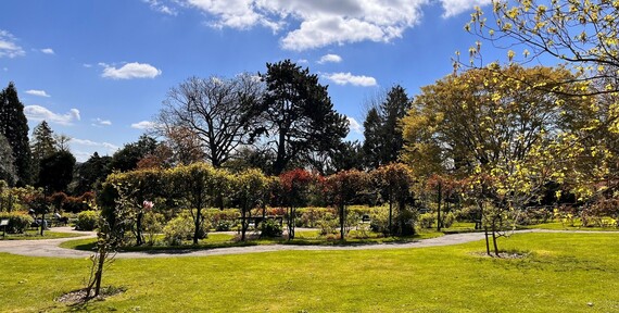 Sheffield Botanical Gardens