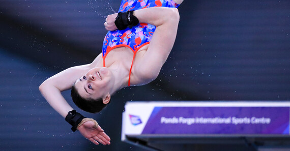 British Diving Championships