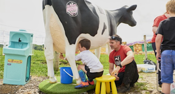 Life on the farm