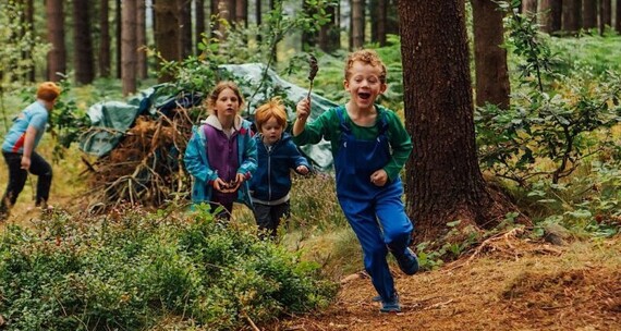 Wild Art in Ecclesall Woods