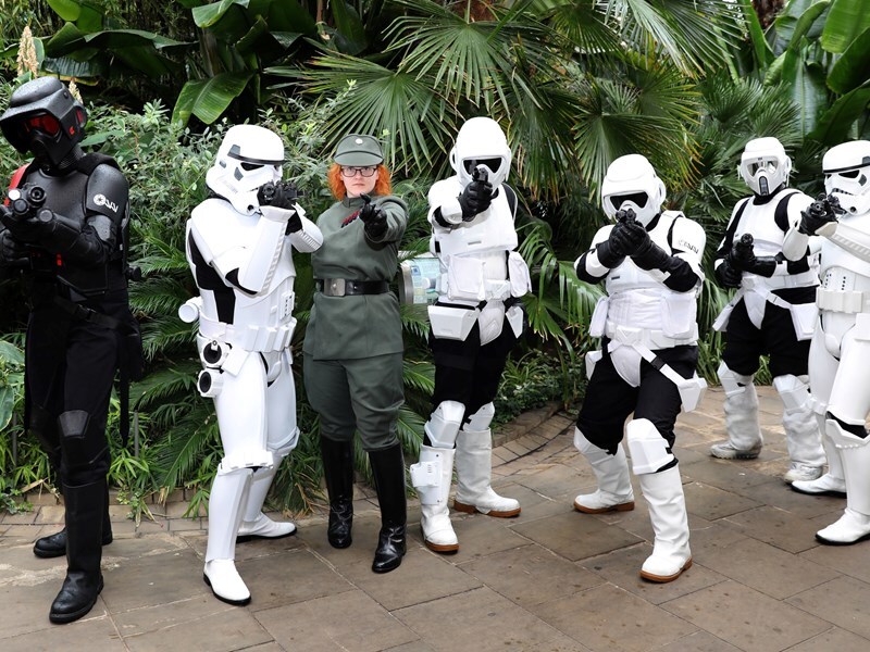 A group of storm troopers stand in a line facing the camera in Sheffield's Winter Garden