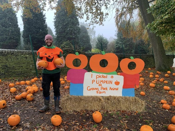 Man dressed as a pumpkin enjoys picking pumpkins at Graves Park Pumpkin Picking 