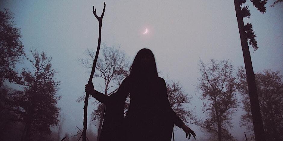 A mysterious figure stands in Bunting Nook Woods