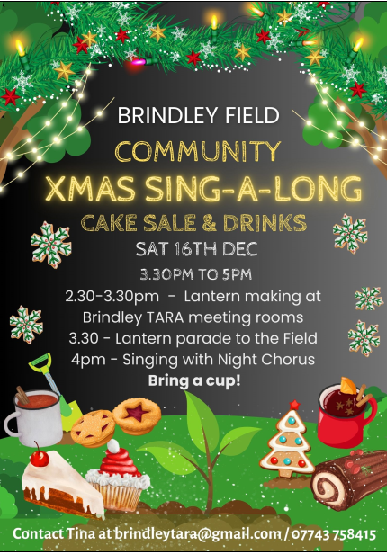 Brindley TARA Christmas event