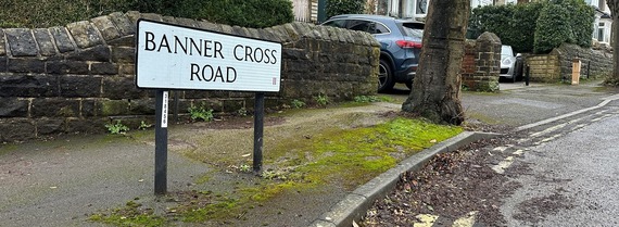 A road sign for Banner Cross Road, next to a street tree.