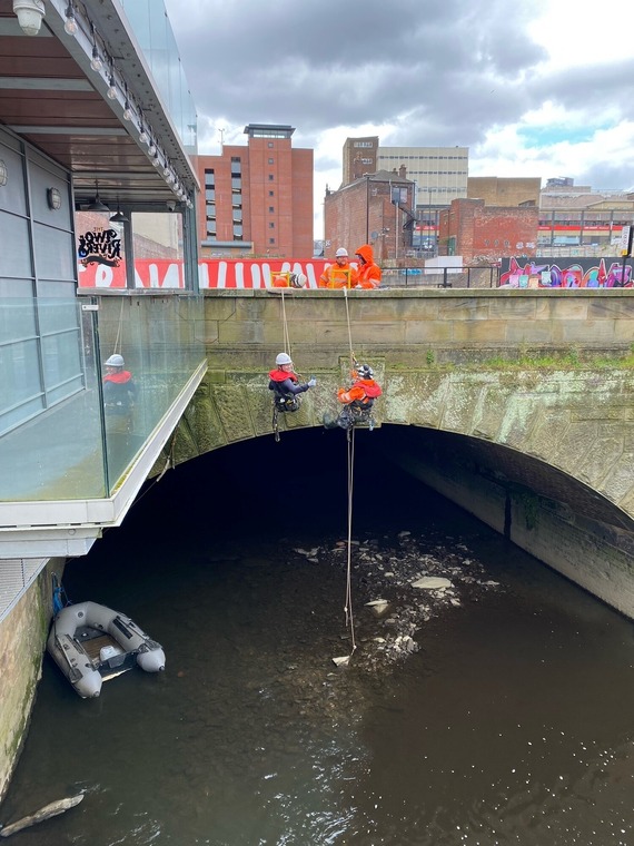 Specialists in hi-vis abseil toward the River Sheaf to conduct a survey