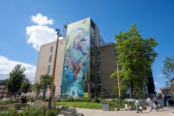 Sheffield’s tallest street art at Pounds Park. Artwork by Peachzz 
