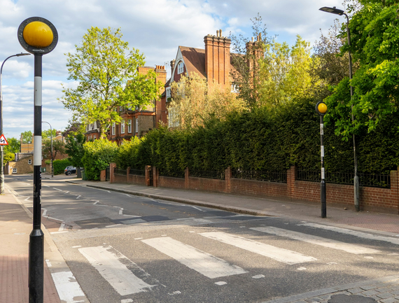 A pelican crossing on a leafy street