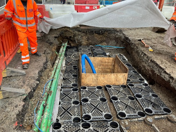 Treepit surrounding by orange temporary fencing