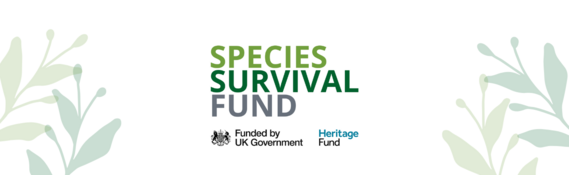 Species Survival Fund. Funded by UK Government Heritage Fund