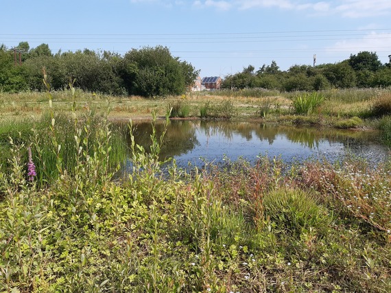 Shirebrook Sustainable Urban Drainage