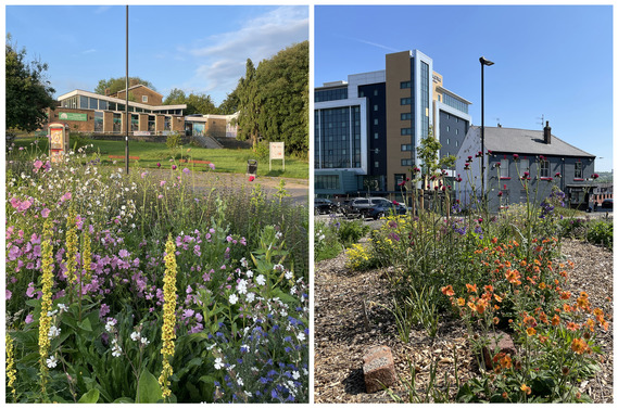 Greener Greenhill and Woodhead projects