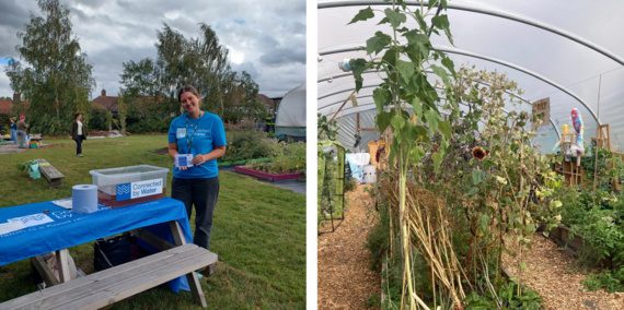 A member of the Connected by Water team holding leaflets, the inside of a polytunnel with sunflowers and vegetables