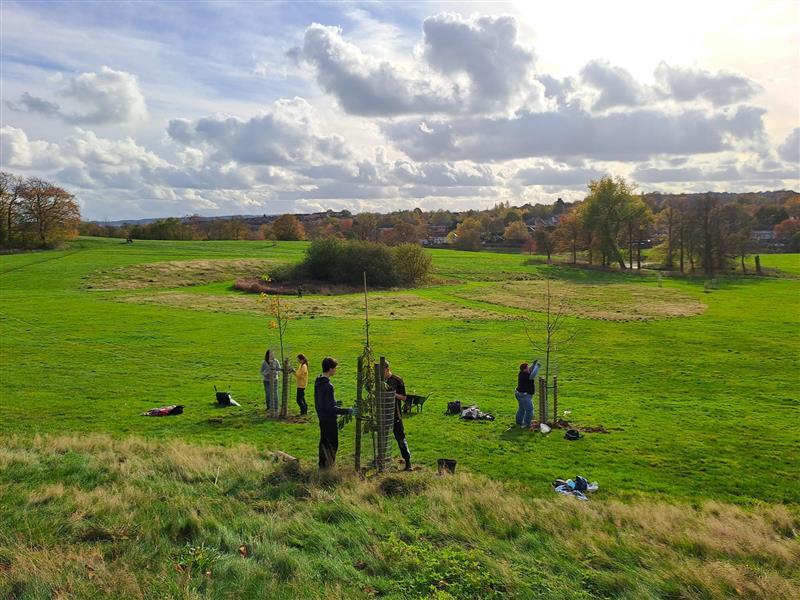 A group of people planting trees in Longley park on a sunny day