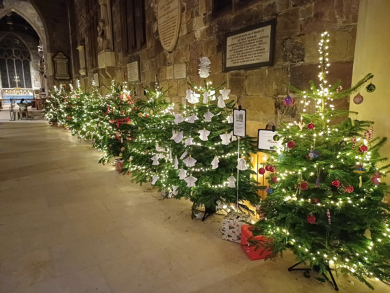 Christmas trees in a line inside Sheffield Cathedral