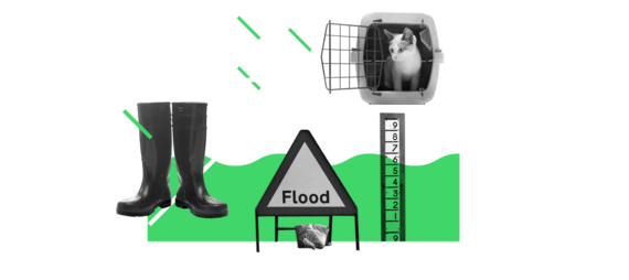 A flood sign, wellies and a cat in a travel basket