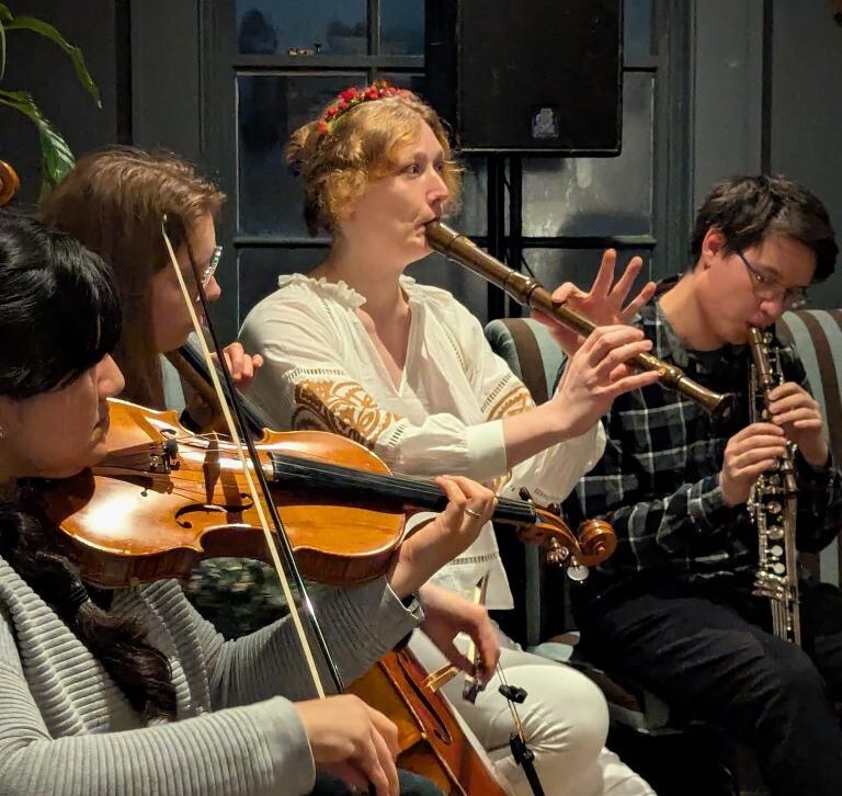 People sat in a cosy pub playing classical instruments.