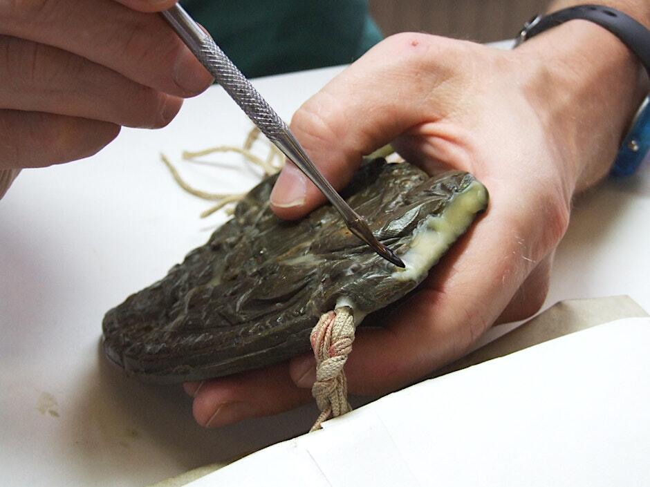 Conservator repairing a 17th century Great Seal with beeswax