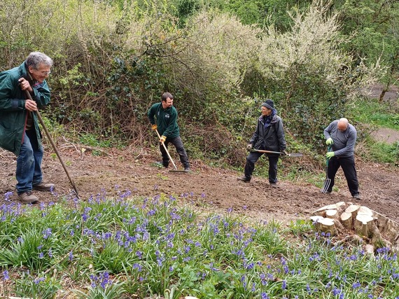 A group of volunteers clear the ground at Shire Brook Valley, with bluebells in the foreground