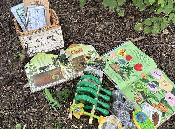 A display of books about insects, and kid-friendly tools for finding and examining bugs