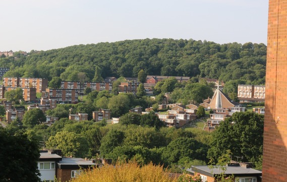 Sunny, green skyline of a Sheffield town with a large church cross visible amongst the trees.