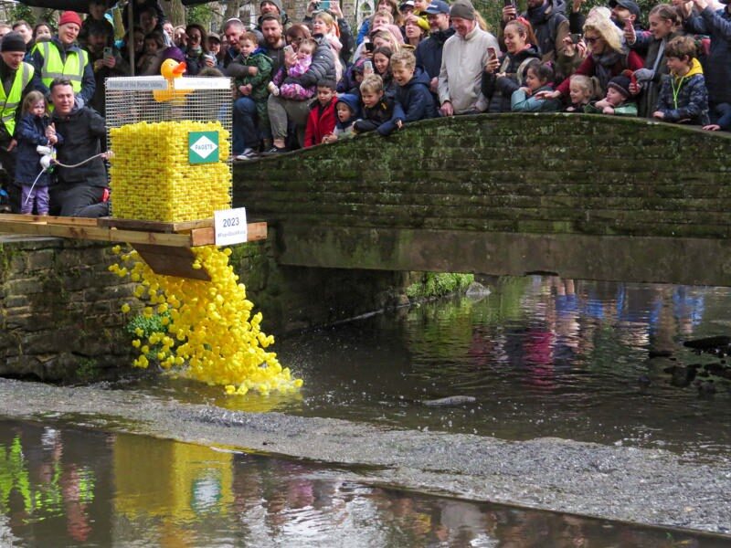 Yellow rubber ducks drop from a cage into the water below. Lines of people watch from the bridge above.