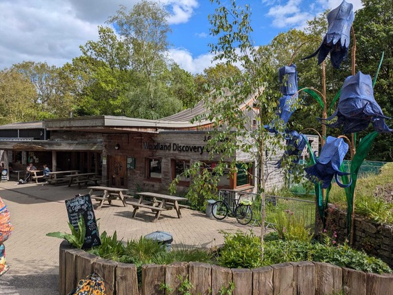 J G Graves Discovery Centre Ecclesall Woods