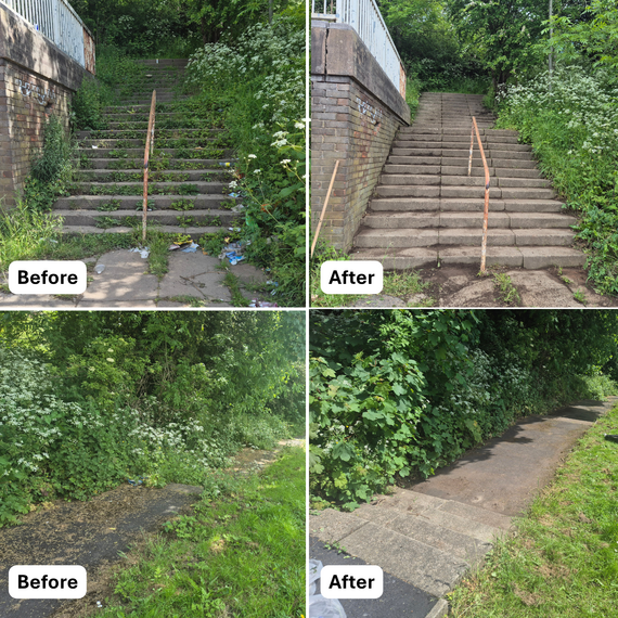 Before and after photos showing clearance of overgrown steps and paths at Buck Wood and Plowright