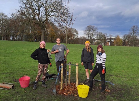 community forestry tree planting