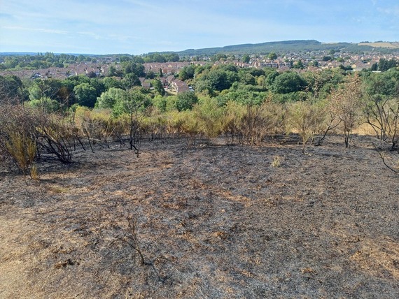 scorched land westwood
