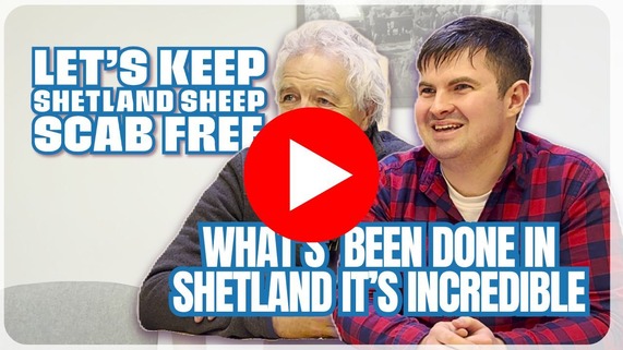 A western isles vet and crofter speak about how impressed they are with the work Shetland has done to tackle sheep scab