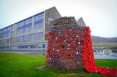 Poppies at the Anderson High School Cairn