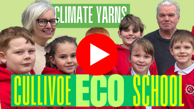 A group of smiley happy children in red school jumpers - click to watch video