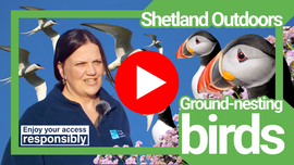 A video about dogs and ground nesting birds with the RSPB's Helen Moncrieff