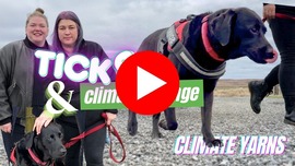 A clickable YouTube banner featuring a dog, taking you to a video about climate change and the increase of Ticks in Shetland