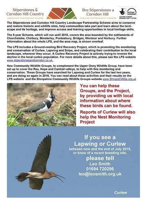 lapwing or curlow poster